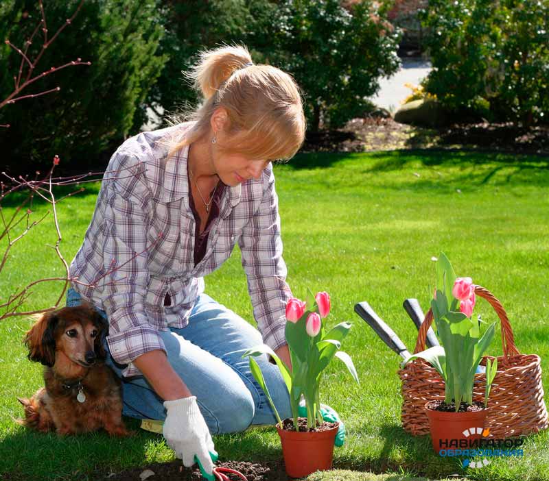 купить диплом ландшафтного дизайнера